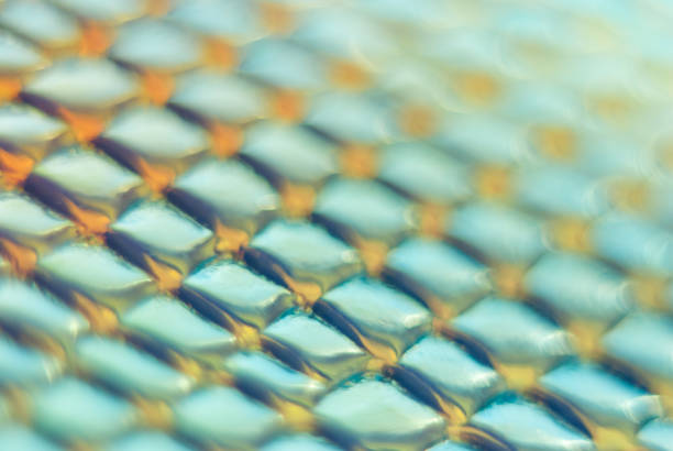 Blurred snake skin background. Bokeh. Holographic texture.