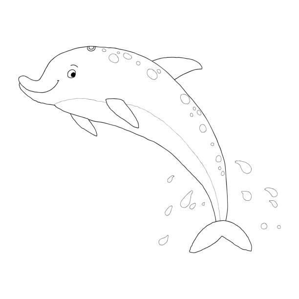1,599 Cartoon Of Dolphin Jumping Out Water Illustrations & Clip Art - iStock