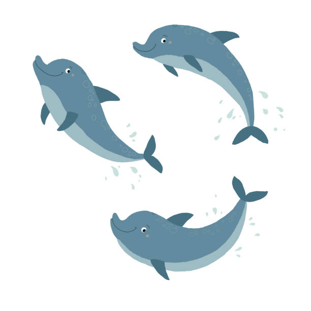 illustrazioni stock, clip art, cartoni animati e icone di tendenza di imposta i delfini ocute nuotando e saltando. illustrazione eps 10 disegnata a mano vettoriale del cartone animato isolata su sfondo bianco in uno stile piatto. - happy dolphin