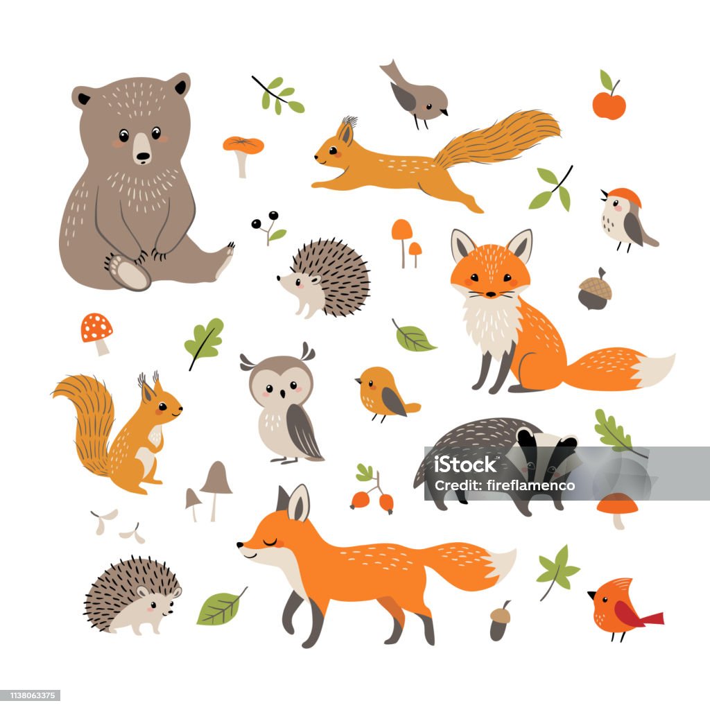 Cute Little Woodland Wild Animals And Birds Stock Illustration - Download  Image Now - Hedgehog, Squirrel, Bird - iStock