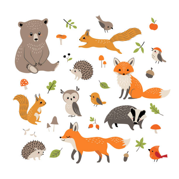 Cute little woodland wild animals and birds Set of cute forest animals, mushrooms, berries, leaves and acorns isolated on white background. squirrel stock illustrations