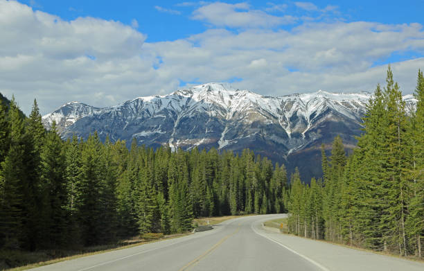 istock The road in Kootenay NP 1138063586