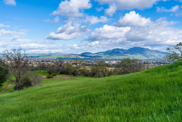 istock View of Mt Diablo from grassy meadow 1138065586