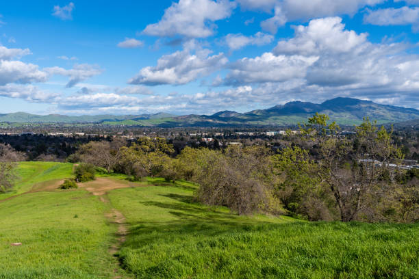 istock Walking path with view of Mt Diablo from grassy meadow 1138065638