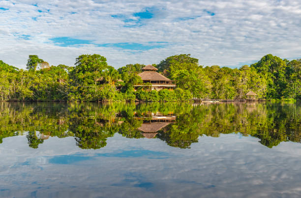 Rainforest Lodge Reflection The reflection of an amazon rainforest lodge inside Yasuni national park, Ecuador. The tributaries of the Amazon river comprise the countries of Suriname, Guyana, French Guyana, Venezuela, Colombia, Ecuador, Peru, Bolivia and Brazil. tortuguero national park stock pictures, royalty-free photos & images