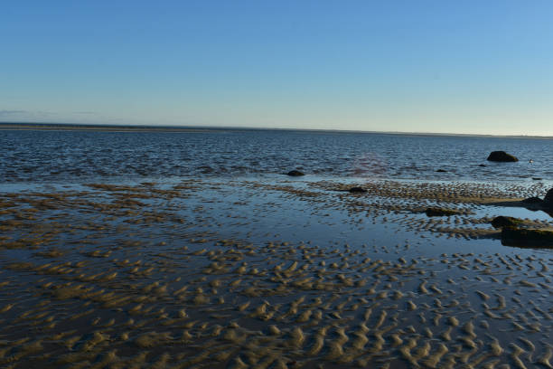 istock Amazing Seascape on a Deserted Beach on Cape Cod 1138073259