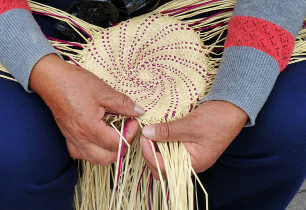 Closeup of woman's hands demonstrate Traditional weaving of ecuadorian Panama Hat or Paja Toquilla Straw Hat, UNESCO Intangible Cultural Heritage of Humanity