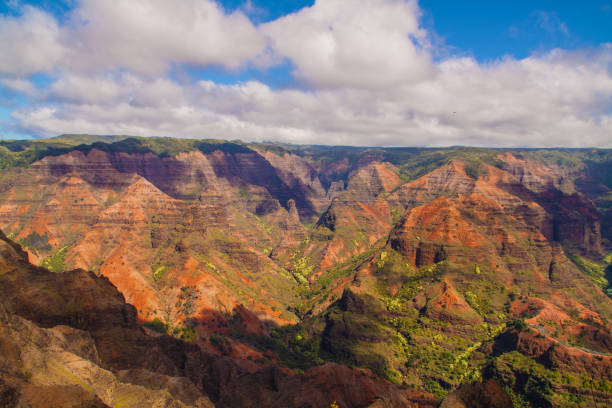 istock Waimea Canyon State Park - Kauai, Hawaii 1138079228