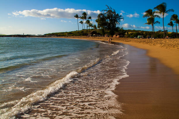 istock Tropical Beach in Kauai Island, Hawaii 1138079234