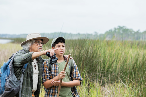 An Hispanic 12 year old boy and his grandfather, a senior man in his 80s, hiking in a park, exploring nature. They are standing and looking out toward wetlands, a grassy area by water, enjoying the view. The grandfather is pointing out something to his grandson.