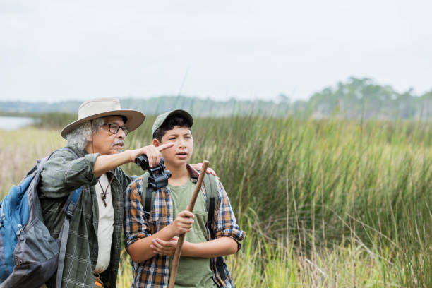 Hispanic boy hiking with grandfather, bird watching An Hispanic 12 year old boy and his grandfather, a senior man in his 80s, hiking in a park, exploring nature. They are standing and looking out toward wetlands, a grassy area by water, enjoying the view. The grandfather is pointing out something to his grandson. bird watching stock pictures, royalty-free photos & images