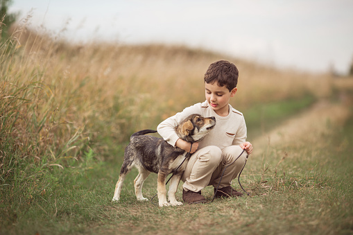 A sweet little brunette haired girl plays with her dog in a field of tall grass as they spend time outside together.  She is dressed casually and is petting the dog as he sits beside her.
