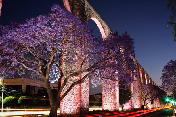 los arcos queretaro, meksyk - town of blossom zdjęcia i obrazy z banku zdjęć