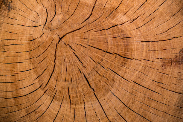 istock saw cut wooden texture 1138083490