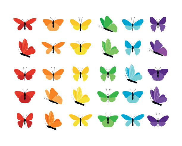 illustrazioni stock, clip art, cartoni animati e icone di tendenza di set di farfalle colorate silhouette collezione primavera ed estate con diverse forme di ali. isolato su sfondo bianco, per illustrazione, ornamenti, tatuaggio. illustrazione vettoriale. - farfalla