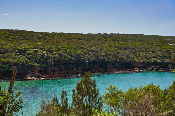 istock View over the bay of Wattamola 1138085140