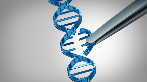 CRISPR Gene Edit CRISPR gene edit concept and genetic engineering with therapy on a DNA strand as a 3D illustration. crispr photos stock pictures, royalty-free photos & images