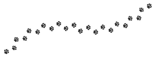 ilustraciones, imágenes clip art, dibujos animados e iconos de stock de rastro de impresión pata sobre fondo blanco. vector gato o perro, pawprint paseo línea de ruta de fondo patrón - dog