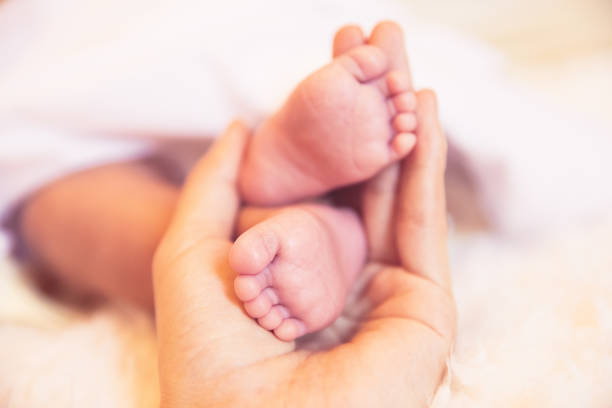istock Newborn baby feet 1138091276