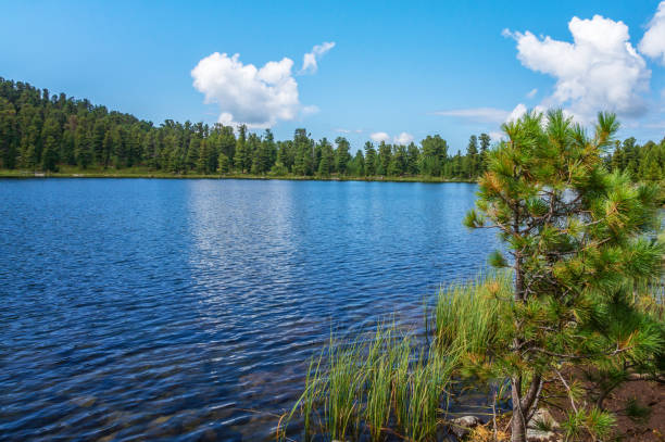 istock Landscape in the Altai mountains in summer 1138091575