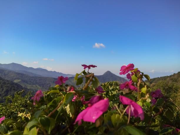 istock Beautiful mountains and blue skies 1138095183