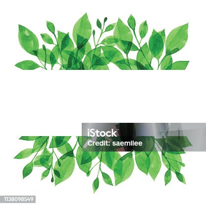 istock Watercolor Banner With Green Branch 1138098549