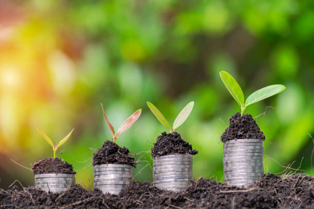 istock Business growth concept. Financial growth is the business sector needs. 1138099123