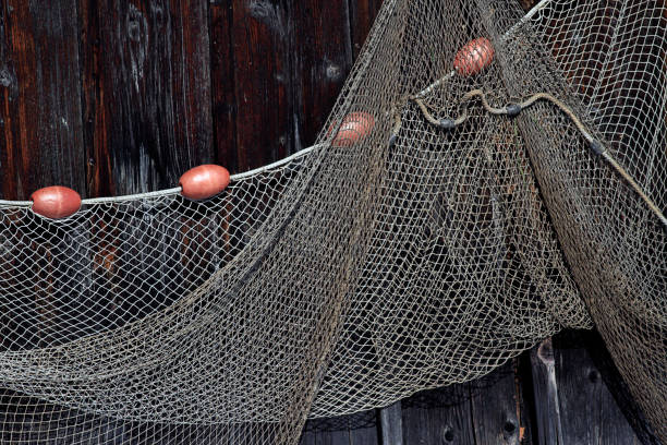 670+ Cork Fishing Net And Rope Stock Photos, Pictures & Royalty-Free Images  - iStock