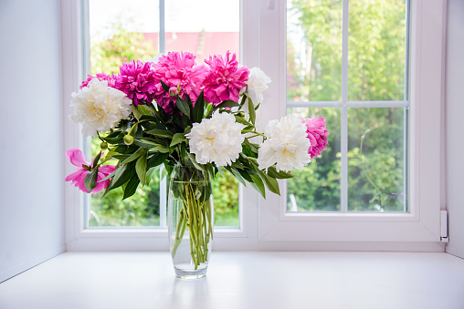 Bouquet of white and pink peonies on the windowsill
