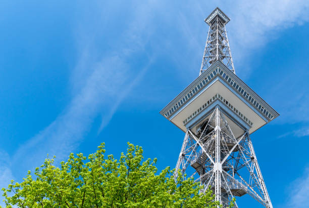 istock Low Angle View Of Tree By Tower In City 1138109713