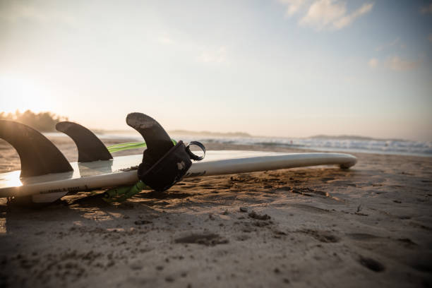 istock Surfboard on sandy beach in the sunrise 1138122963