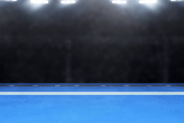 istock Karate tournament arena 1138124030
