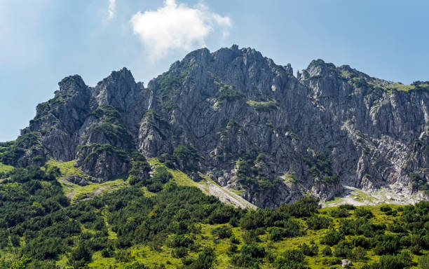 istock Table Mountain Cliffs in Cape Town South Africa 1138124202