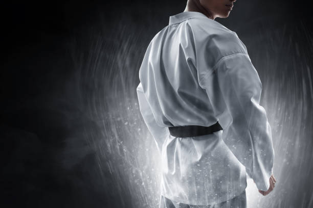 luchador de artes marciales - taekwondo fotografías e imágenes de stock