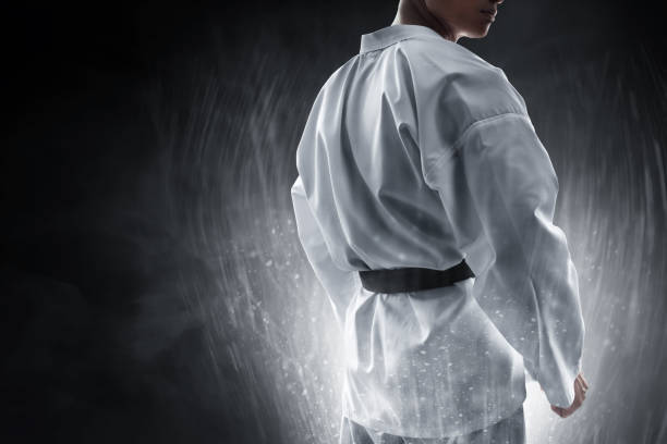 Martial arts fighter Martial arts fighter taekwondo stock pictures, royalty-free photos & images