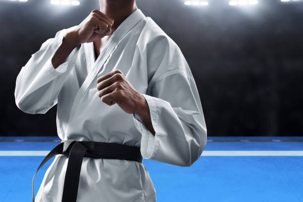 istock Martial arts fighter 1138124602