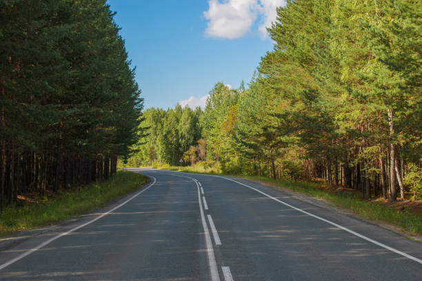 istock Road through green deep forest in Russia 1138124702