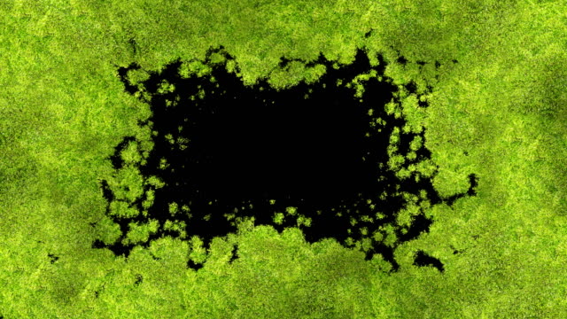Green Moss Covering the Screen Beautiful Animation. Growing Grass Process with Alpha Matte. Useful for Transitions. Spring Nature and New Life Concept.