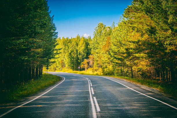 istock Road through green deep forest in Russia 1138125338