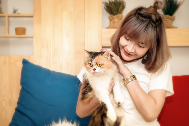 istock Asian female playing with cute cat 1138126932