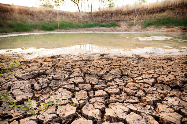 istock Cracked soil in the pond 1138130137
