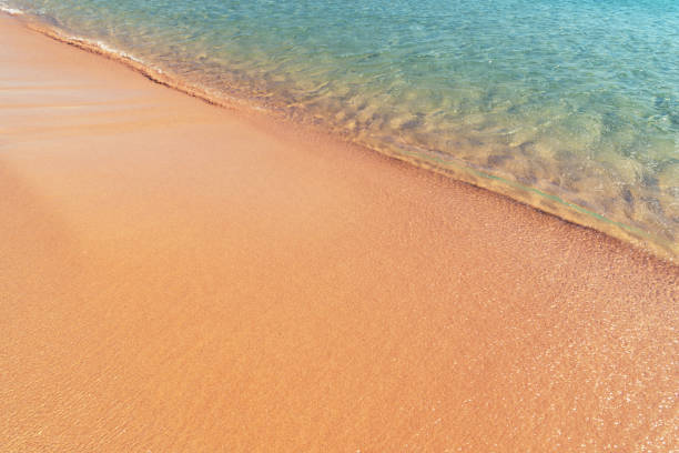 Soft sea wave on the sand beach - Summer background