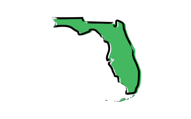 Stylized green sketch map of Florida Stylized green sketch map of Florida illustration vector drawing of a state florida stock illustrations