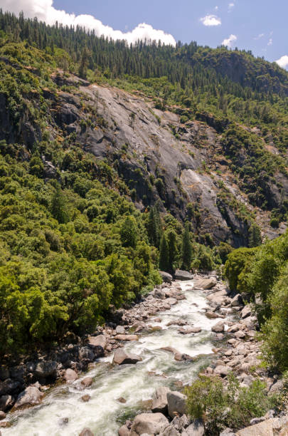 istock forest and waterfall in Yosemite National Park 1138132761
