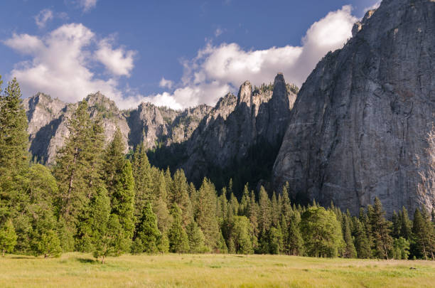 istock forest and waterfall in Yosemite National Park 1138132819