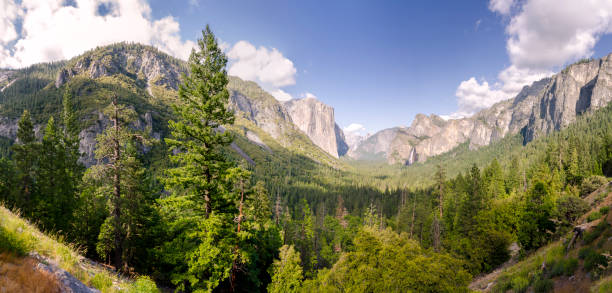 istock forest and waterfall in Yosemite National Park 1138132834