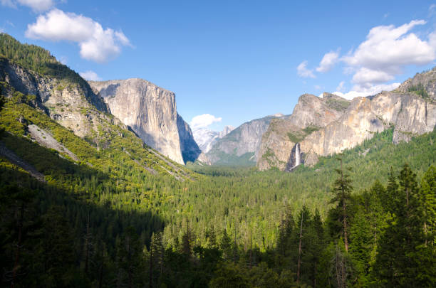 istock forest and waterfall in Yosemite National Park 1138132845