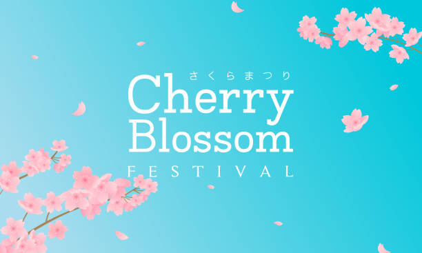 Cherry Blossom Festival (In Japanese character) vector illustration. Sakura branch with petals falling on blue sky background. Cherry Blossom Festival (In Japanese character) vector illustration. Sakura branch with petals falling on blue sky background. sakura matsuri stock illustrations