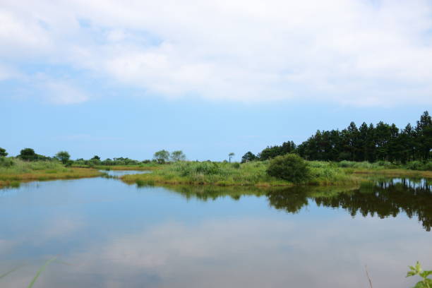 istock Fisheries, Lake, reservoir, rural, 1138135037
