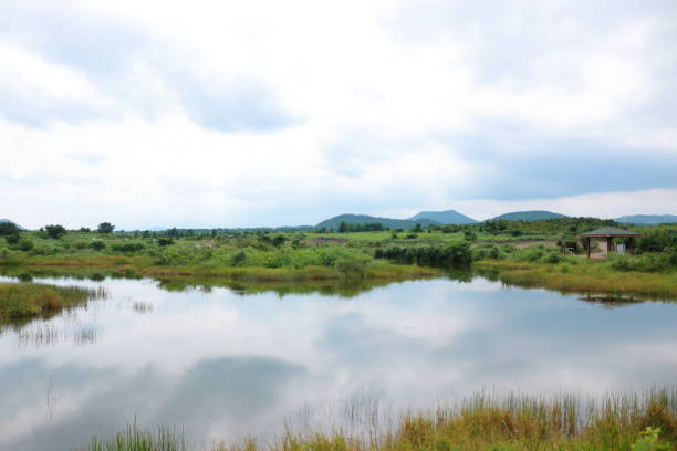 istock Fisheries, Lake, reservoir, rural, 1138135131